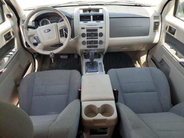 2009 Ford Escape XLT