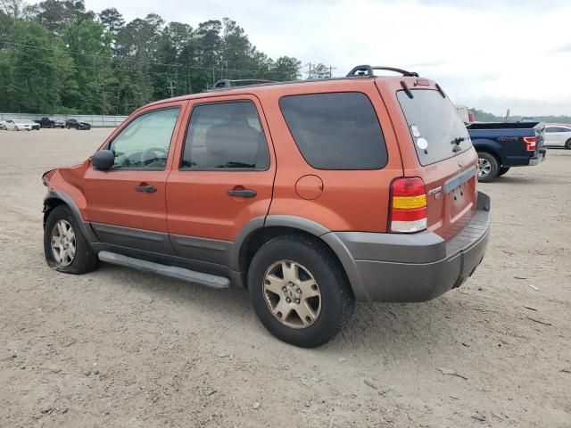 2006 Ford Escape XLT