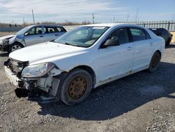 Salvage cars for sale at Ottawa, ON auction: 2009 Chevrolet Malibu LS