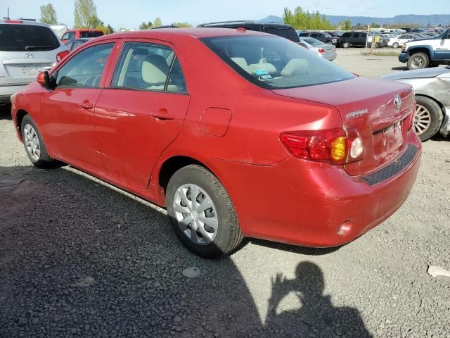 2010 Toyota Corolla Base