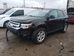 Ford Vehiculos salvage en venta: 2013 Ford Edge SEL