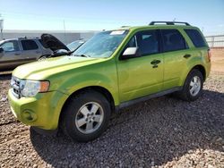 Salvage cars for sale from Copart Phoenix, AZ: 2012 Ford Escape XLT