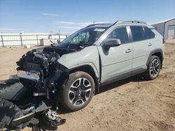 Salvage cars for sale at Nampa, ID auction: 2019 Toyota Rav4 Adventure