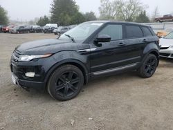 Salvage cars for sale from Copart Finksburg, MD: 2014 Land Rover Range Rover Evoque Pure Plus