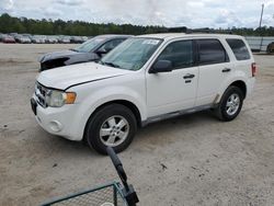 Salvage cars for sale at Harleyville, SC auction: 2009 Ford Escape XLT