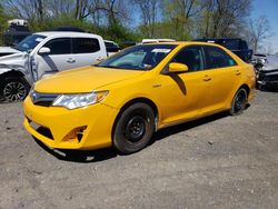 2014 Toyota Camry Hybrid for sale in Marlboro, NY