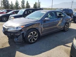 Salvage cars for sale from Copart Rancho Cucamonga, CA: 2017 Honda Accord EXL