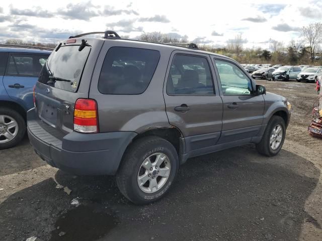 2006 Ford Escape XLT