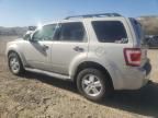 2008 Ford Escape XLT