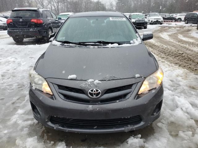 2011 Toyota Corolla Base