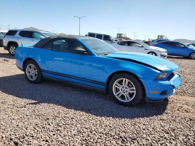 2010 Ford Mustang