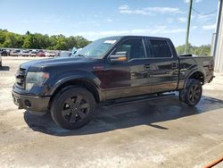 Salvage cars for sale from Copart Apopka, FL: 2013 Ford F150 Supercrew