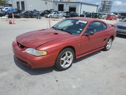 Vehiculos salvage en venta de Copart New Orleans, LA: 1998 Ford Mustang Cobra