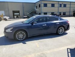 Salvage cars for sale at Wilmer, TX auction: 2011 Nissan Maxima S