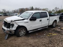 Salvage cars for sale from Copart Chalfont, PA: 2013 Ford F150 Supercrew