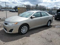 Salvage cars for sale from Copart Chalfont, PA: 2013 Toyota Camry L