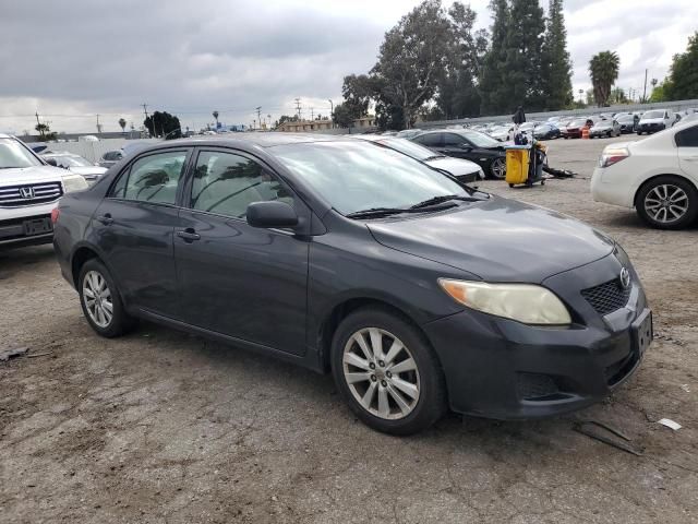 2009 Toyota Corolla Base