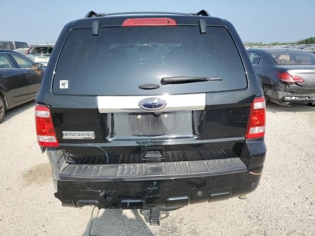 2011 Ford Escape Limited