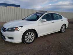 Salvage cars for sale at Greenwood, NE auction: 2013 Honda Accord EXL