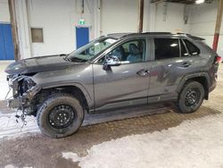 Vehiculos salvage en venta de Copart Bowmanville, ON: 2023 Toyota Rav4 XLE