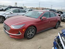 Salvage cars for sale at Chicago Heights, IL auction: 2023 Hyundai Sonata Hybrid