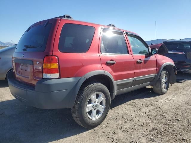 2006 Ford Escape XLT