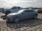 2019 Audi A5 Premium Plus S-Line