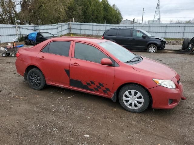 2010 Toyota Corolla Base