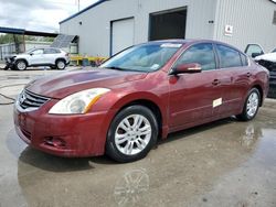 Salvage cars for sale at New Orleans, LA auction: 2010 Nissan Altima Base
