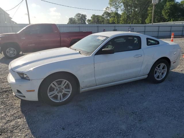 2014 Ford Mustang