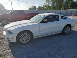 Salvage cars for sale at Gastonia, NC auction: 2014 Ford Mustang