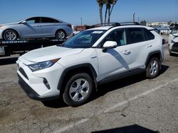 Salvage cars for sale from Copart Van Nuys, CA: 2020 Toyota Rav4 XLE