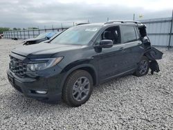 Salvage cars for sale at Cahokia Heights, IL auction: 2024 Honda Passport Trail Sport