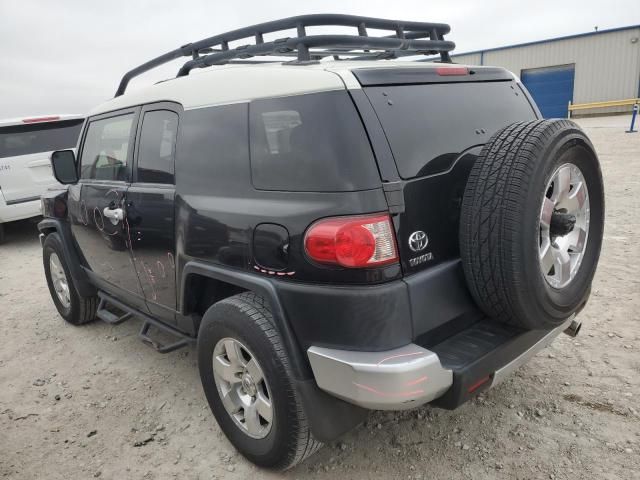 2010 Toyota FJ Cruiser