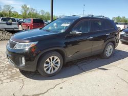 Salvage cars for sale at Fort Wayne, IN auction: 2014 KIA Sorento EX