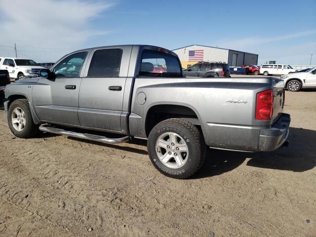 2010 Dodge Dakota SXT