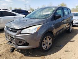 Salvage cars for sale at Elgin, IL auction: 2013 Ford Escape S