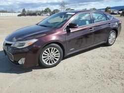 Toyota Avalon salvage cars for sale: 2014 Toyota Avalon Hybrid