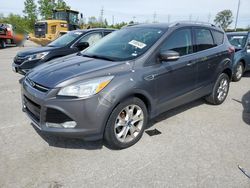 Vehiculos salvage en venta de Copart Bridgeton, MO: 2014 Ford Escape Titanium