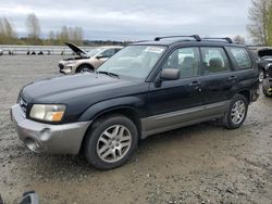 Subaru salvage cars for sale: 2005 Subaru Forester 2.5XS LL Bean