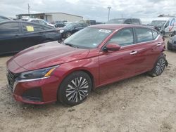 Salvage cars for sale at Temple, TX auction: 2023 Nissan Altima SV