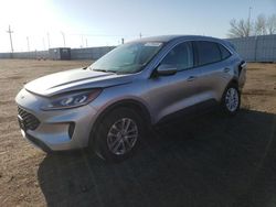 Salvage cars for sale at Greenwood, NE auction: 2021 Ford Escape SE