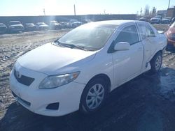 Salvage cars for sale from Copart Anchorage, AK: 2009 Toyota Corolla Base