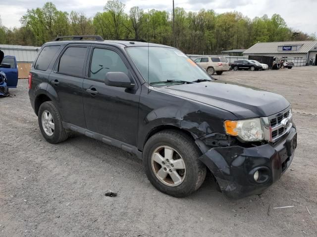 2012 Ford Escape XLT