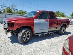 Salvage cars for sale at Walton, KY auction: 2008 Dodge RAM 1500 ST
