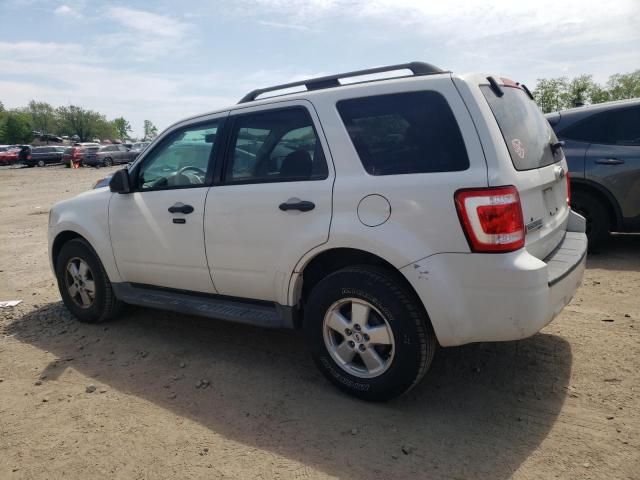 2009 Ford Escape XLT