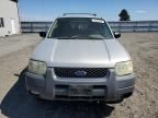 2004 Ford Escape XLT