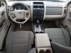 2010 Ford Escape XLS