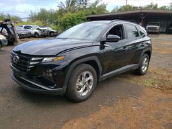 Salvage cars for sale from Copart Kapolei, HI: 2024 Hyundai Tucson SEL