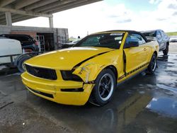 Salvage cars for sale at West Palm Beach, FL auction: 2005 Ford Mustang